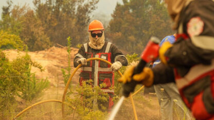 Etiquetas: incendios forestales