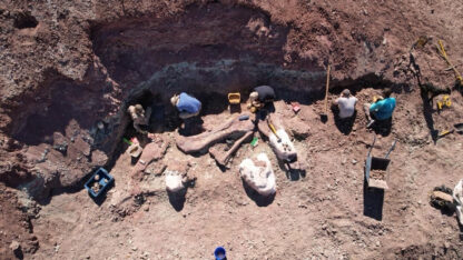 Etiquetas: campaña paleontológica, chubut, CIENCIA