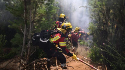 Etiquetas: bomberos, brigadistas, incendios forestales, los alerces