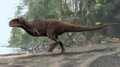 Etiquetas: abelisáuridos, Cenpat, CIENCIA, paleontología