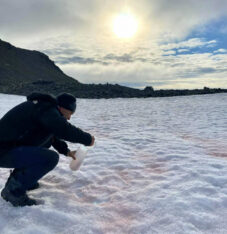 Etiquetas: algas, Antártida, calentamiento global, cambio climatico, medioambiente