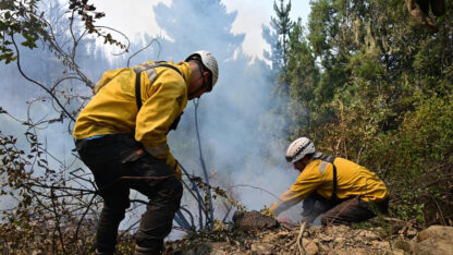 Etiquetas: brigadistas, incendio forestal, puerto patriada