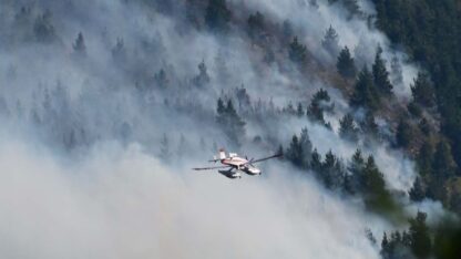 Piden declarar la emergencia en la Patagonia por los incendios