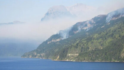 Etiquetas: incendio forestal, PN LOS ALERCES