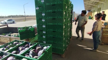 Etiquetas: producción, Virch