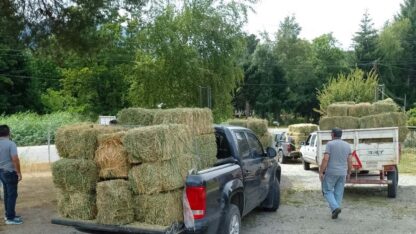 Asisten a productores afectados por los incendios en la región cordillerana