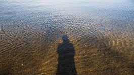 ¿Cómo se perdió el eco eterno de la belleza?