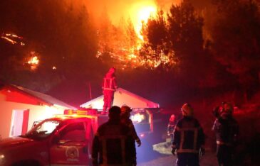 Etiquetas: bomberos, brigadistas, El Hoyo, Ignacio "Nacho" Torres, incendios forestales, puerto patriada