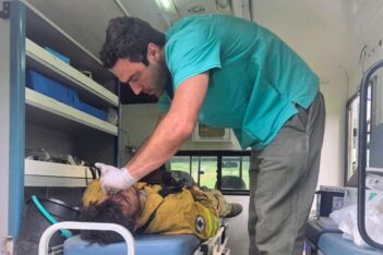 Etiquetas: cordillera, incendio, incendio forestal