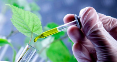 becas, CIENCIA, CONICET