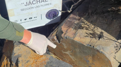 Etiquetas: Arqueología, petroglifos, San Juan