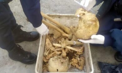 Etiquetas: craneos, esquel, girsu