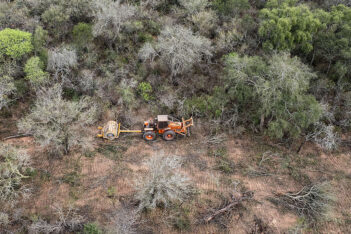 Etiquetas: desmontes, Greenpeace, medioambiente