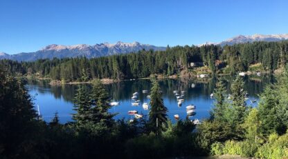 Etiquetas: incendios, legislativas, pino exotico