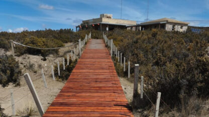 Etiquetas: orcas, peninsula valdes, turismo