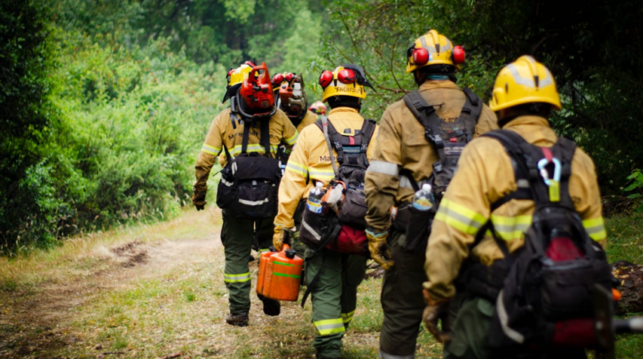 incendio, incendio forestal, los alerces