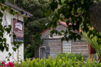 Etiquetas: australia, inteligencia artificial