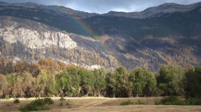 Etiquetas: incendio, los alerces, medioambiente, seguridad, turismo