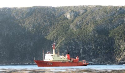 Descubren en Mar del Plata un nuevo género de erizo de mar