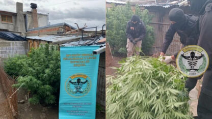 Allanamiento por drogas en Esquel