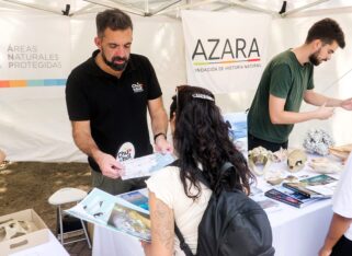 Etiquetas: El Mar en la Ciudad, medioambiente