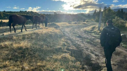 Hallaron una persona muerta cerca de Corcovado