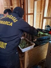 Desbaratan red de narcomenudeo en la Comarca Andina