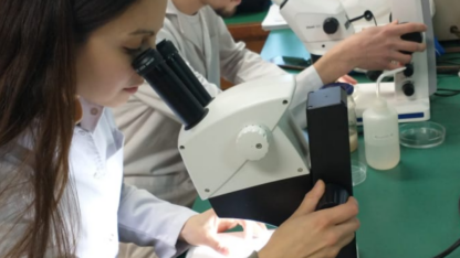 Nueva convocatoria de fondos para la investigación científica con impacto en Chubut