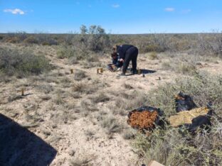 Hallaron un hombre con herida de bala en Puerto Madryn