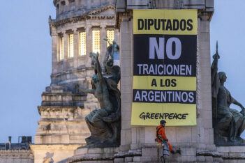 Greenpeace convocó a una demanda colectiva contra la reforma a la Ley de Glaciares