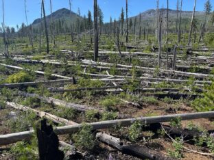 La reforma a la Ley de Glaciares, pero a la americana