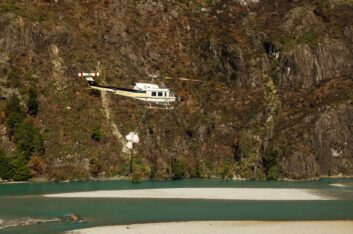 Trasladaron 20.000 plantines de coihue a la Cordillera