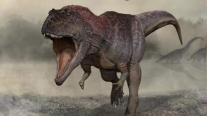 ¿Por qué el T Rex tenía brazos tan pequeños?