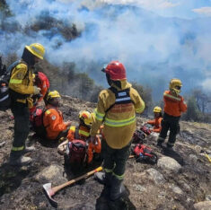 Alertan que se multiplicaron por diez los bosques arrasados por el fuego en la Patagonia