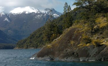 Se pueden presentar proyectos que requieran financiamiento de la nueva Ley de Bosques