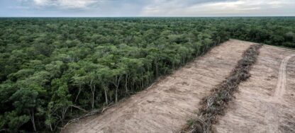 Sudamérica registró la mayor pérdida de bosques del planeta