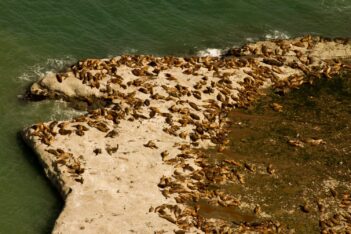 Aprobaron el primer Plan de Manejo de Punta Marqués