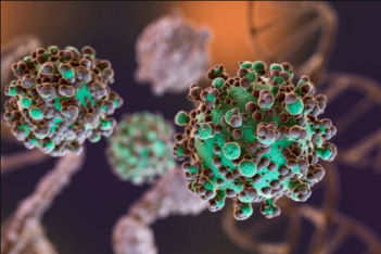 No se notificaron nuevos casos de Hantavirus en Argentina