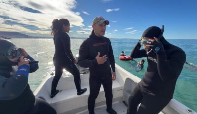 Aprobaron el buceo con lobos marinos en Comodoro Rivadavia