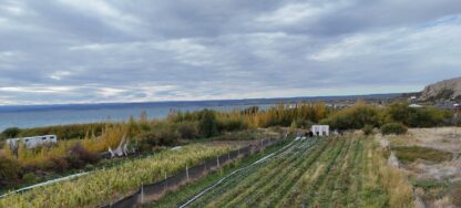 Récord de postulaciones argentinas para los Best Tourism Villages de este año