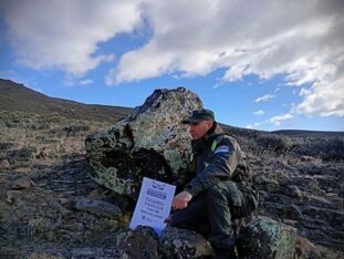 Hallan un bosque petrificado de 50 millones de años