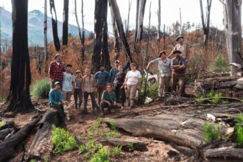 Plantaron 20.000 coíhues en la reserva forestal de Río Turbio