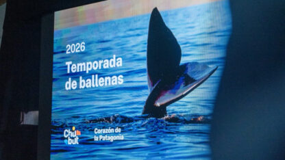 Chubut inauguró oficialmente la Temporada de Ballenas 2026