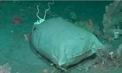 El Falkor too también encontró basura en el mar argentino