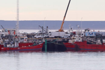 Puerto Madryn aumentó un 59% sus descargas pesqueras
