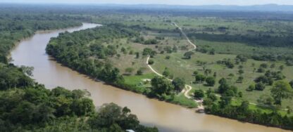 Alerta por el aumento de la violencia narco en Colombia