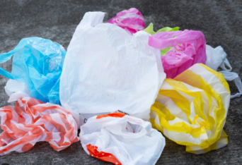 Madryn celebra el día mundial libre de bolsas de plástico