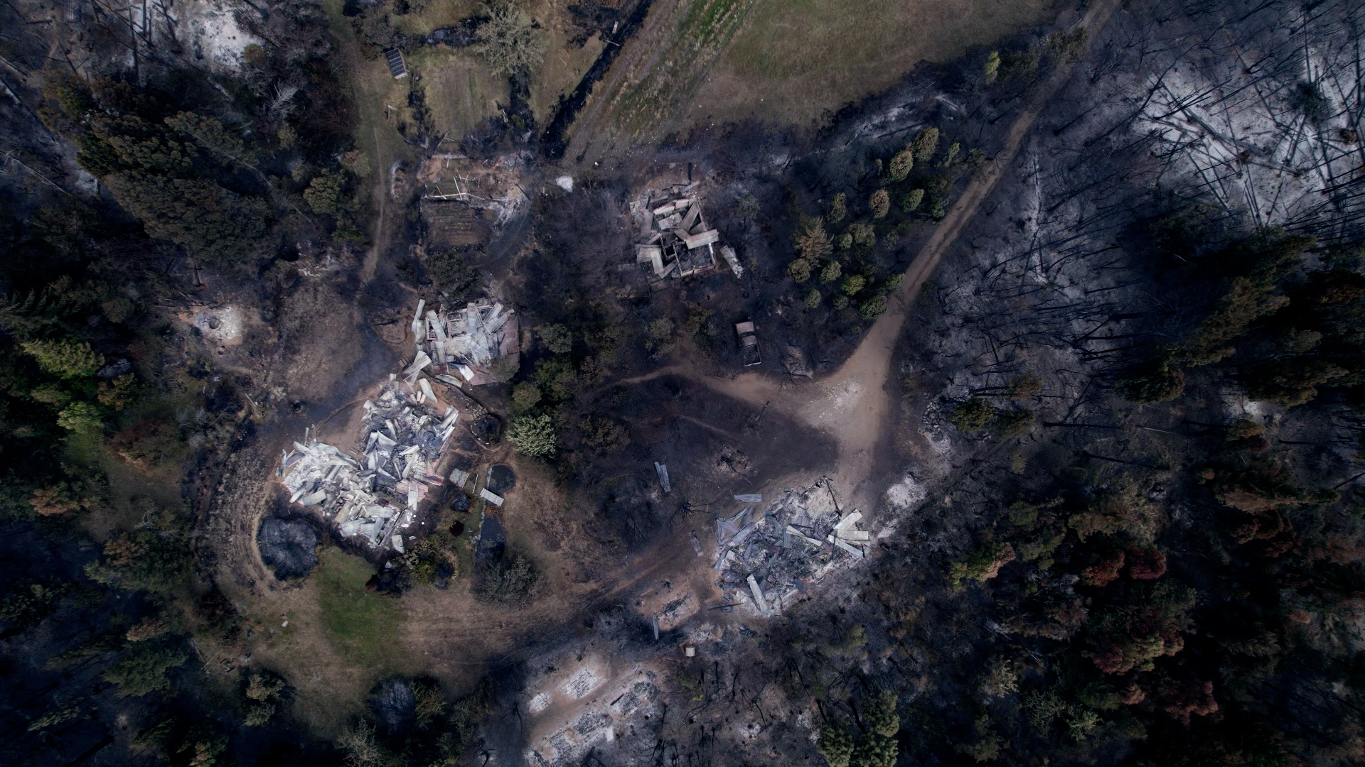 Se presenta un documental sobre incendios forestales en la Patagonia