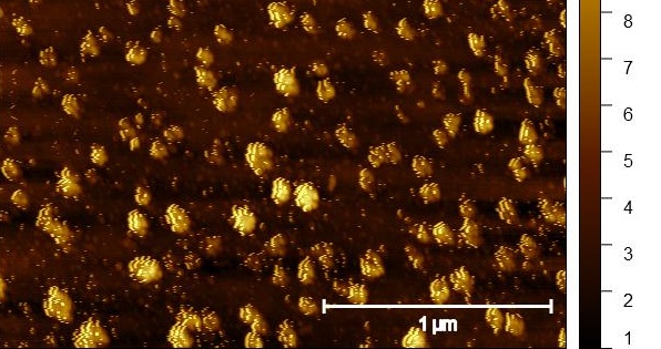 Avances en nanotecnología para tratar la enfermedad de Chagas