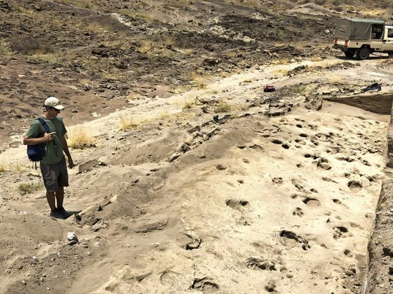 Descubren huellas fósiles de homínidos que alcanzaban 1,80 m